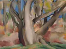 Trees at Glorieta New Mexico 1929 By Georgia O'Keeffe