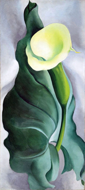 Calla Lily Yellow No 2 1927 By Georgia O'Keeffe