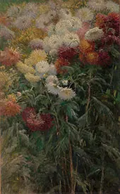 Clump of Chrysanthemums Garden at Petit Gennevilliers 1893 By Gustave Caillebotte