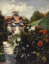 Dahlias the Garden at Petit Gennevilliers 1893 By Gustave Caillebotte