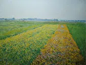 The Gennevilliers Plain Yellow Fields 1884 By Gustave Caillebotte