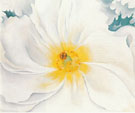 White Flower 1929 By Georgia O'Keeffe