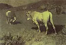 The Moaning of the Bulls 1907 By Frederic Remington