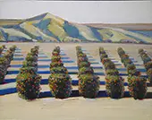 Orange Grove By Wayne Thiebaud