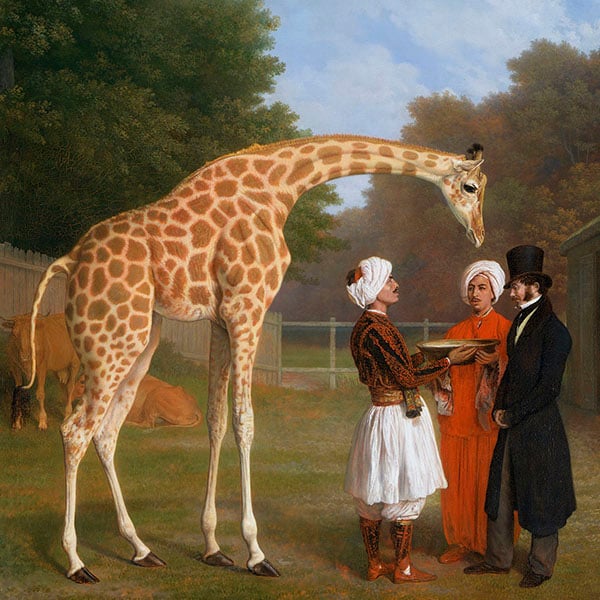 Oil Painting Reproductions of Jacques-Laurent Agasse