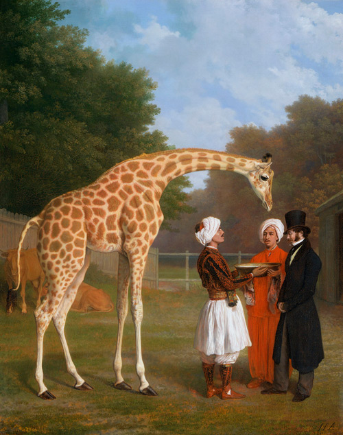 The Nubian Giraffe 1827 | Oil Painting Reproduction