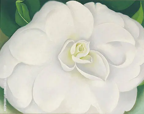 A White Camelia 1938 By Georgia O'Keeffe