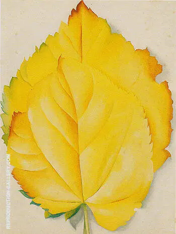 Two Yellow Leaves 1928 By Georgia O'Keeffe