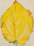 Two Yellow Leaves 1928 By Georgia O'Keeffe