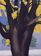 Black Maple Trunk Yellow Leaves 1929 By Georgia O'Keeffe