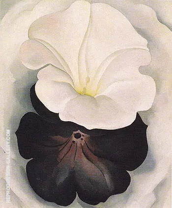 Black Petunia and White Morning Glory 1926 2 By Georgia O'Keeffe
