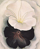 Black Petunia and White Morning Glory 1926 2 By Georgia O'Keeffe
