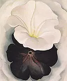 Black Petunia and White Morning Glory 1926 2 By Georgia O'Keeffe