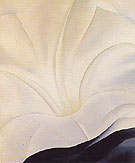 Black Petunia and White Morning Glory 1926 3 By Georgia O'Keeffe