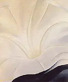 Black Petunia and White Morning Glory 1926 3 By Georgia O'Keeffe