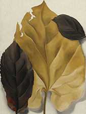 Brown and Tan Leaves 1928 By Georgia O'Keeffe
