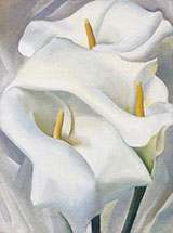 Calla Lilies 1924 459 By Georgia O'Keeffe