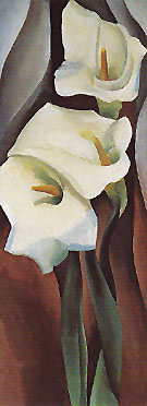 Calla Lilies 1924 460 By Georgia O'Keeffe