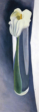 Calla Lily In Tall Glass No 2 1923 426 By Georgia O'Keeffe