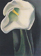 Calla Lily With Black 1923 By Georgia O'Keeffe