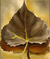 Grey and Brown Leaves 1929 By Georgia O'Keeffe