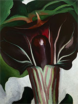 Jack In Pulpit 1930 No 1 By Georgia O'Keeffe
