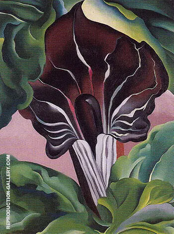 Jack In Pulpit 1930 No 2 By Georgia O'Keeffe