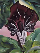 Jack In Pulpit 1930 No 2 By Georgia O'Keeffe