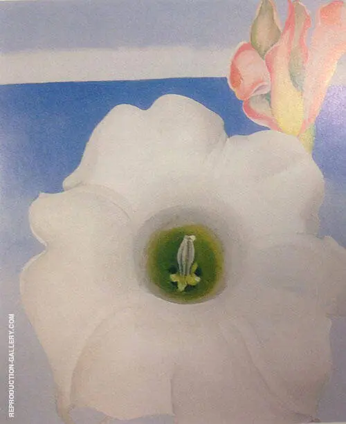 Bella Donna With Pink Torch Ginger Bud 1939 By Georgia O'Keeffe
