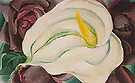 L K White Calla And Roses 1926 By Georgia O'Keeffe