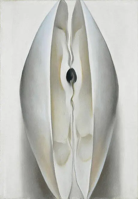Open Clam Shell The Sea Shell 1926 By Georgia O'Keeffe