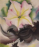 Petunia And Coleus 1924 By Georgia O'Keeffe