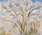Cottonwood 1944 1 By Georgia O'Keeffe