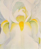 Untitled White Iris 1926 By Georgia O'Keeffe