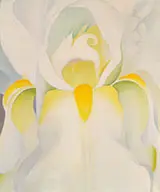 Untitled White Iris 1926 By Georgia O'Keeffe