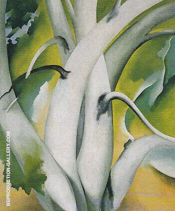 White Birch Lake George 1925 By Georgia O'Keeffe