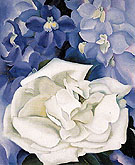 White Rose With LarkSpur 1927 No 1 By Georgia O'Keeffe