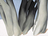 Bare Tree Trunks with Snow 1946 By Georgia O'Keeffe