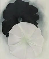 Black Petunia And White Morning Glory 1926 1 By Georgia O'Keeffe
