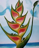 Heliconia 1939 By Georgia O'Keeffe