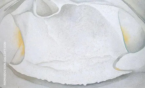 Clam Shell 1930 By Georgia O'Keeffe