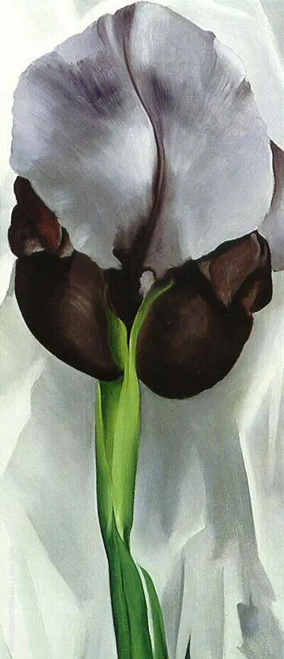 Dark Iris1927 No 1 By Georgia O'Keeffe