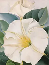Jimson Weed 1931 3 By Georgia O'Keeffe