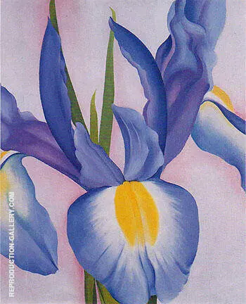 Lavender Iris 1951 By Georgia O'Keeffe