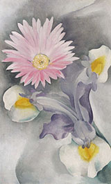 Pink Daisy with Iris 1927 By Georgia O'Keeffe