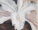 Narcissas Last Orchid 1941 By Georgia O'Keeffe