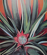 Pineapple Bud 1939 By Georgia O'Keeffe