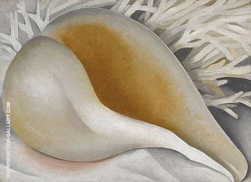 Shell 1937 IV By Georgia O'Keeffe