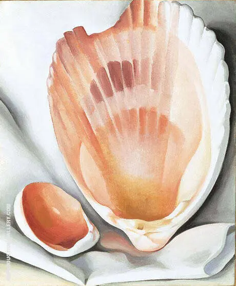 Two Pink Shells 1937 By Georgia O'Keeffe