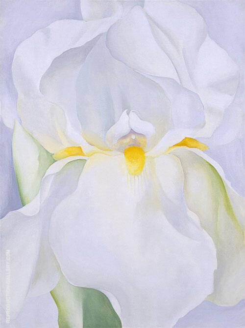 White Iris No 7 1957 by Georgia O'Keeffe | Oil Painting Reproduction